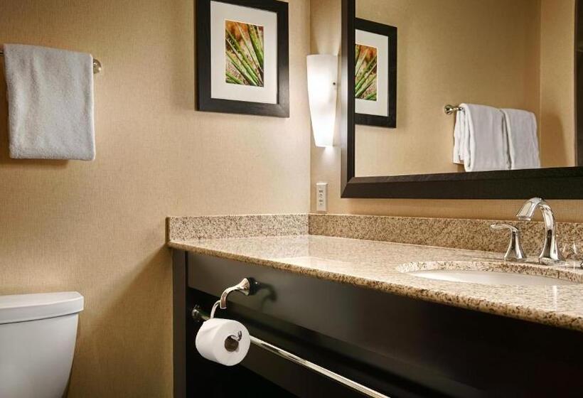 اتاق استاندارد با تخت بزرگ, Best Western Premier Bryan College Station