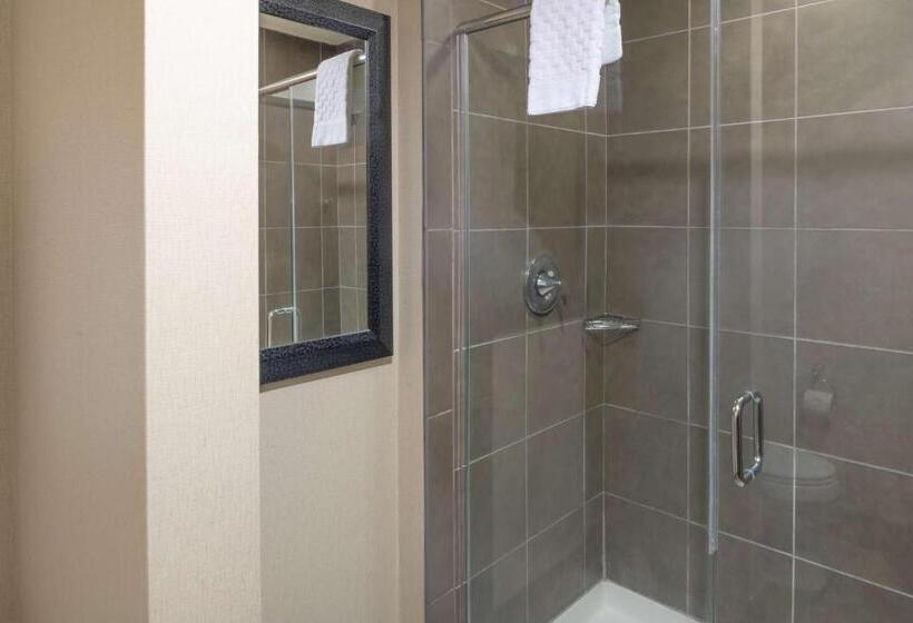 اتاق استاندارد با تخت بزرگ, Best Western Premier Bryan College Station