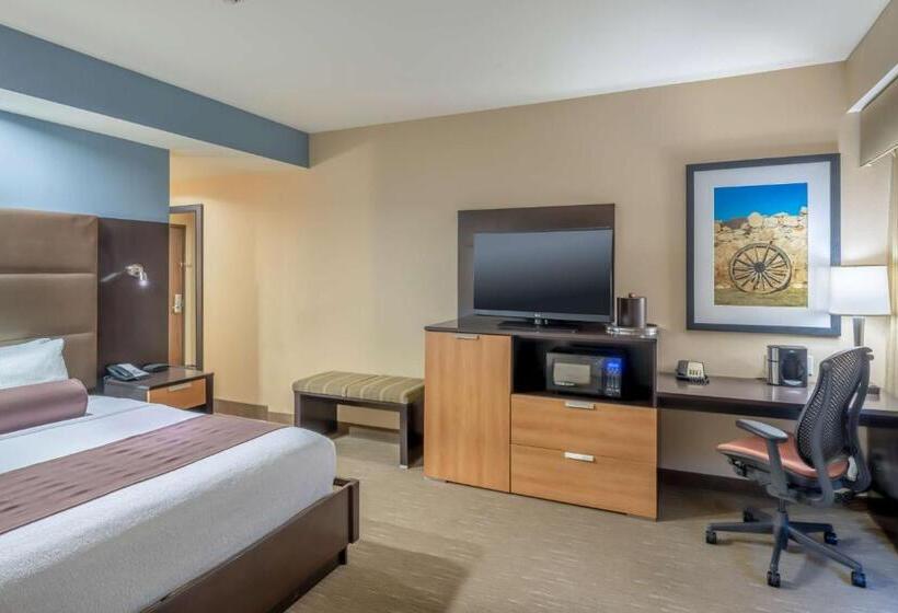 اتاق استاندارد با تخت بزرگ, Best Western Premier Bryan College Station