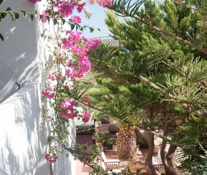 استودیو استاندارد با چشم‌انداز باغ, Maistrali Apartments