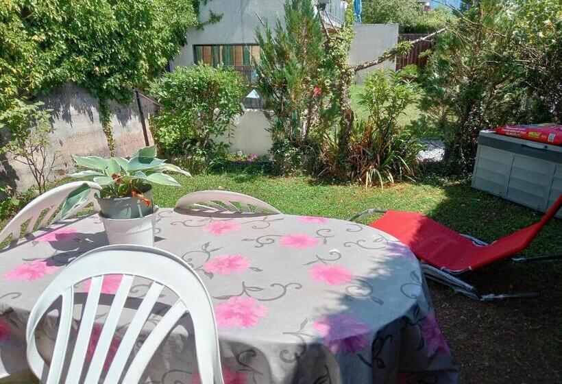 اتاق استاندارد, Petit St George 100mt Du Lac