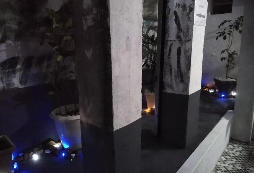 اتاق استاندارد یک نفره, Shark Tubarao Suites Central Area