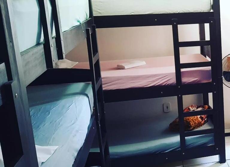 تختخواب در اتاق مشترک, Hostel Taberna Hospedagem Café E Arte