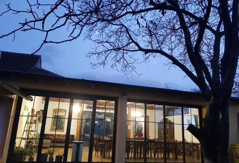 4间卧室的房子, Joyard   Pensiune & Parc