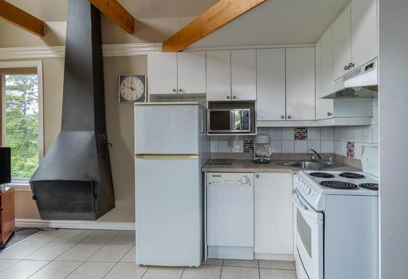 آپارتمان 1 خوابه, Condo Climatisé Près Du Mont Sainte Anne Avec Parc Aquatique, Piscine, Spa, Gym, Arcades Et Billard