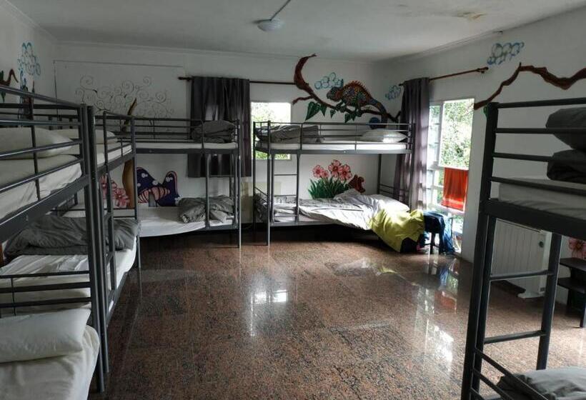 تختخواب در اتاق مشترک, La Casa Verde