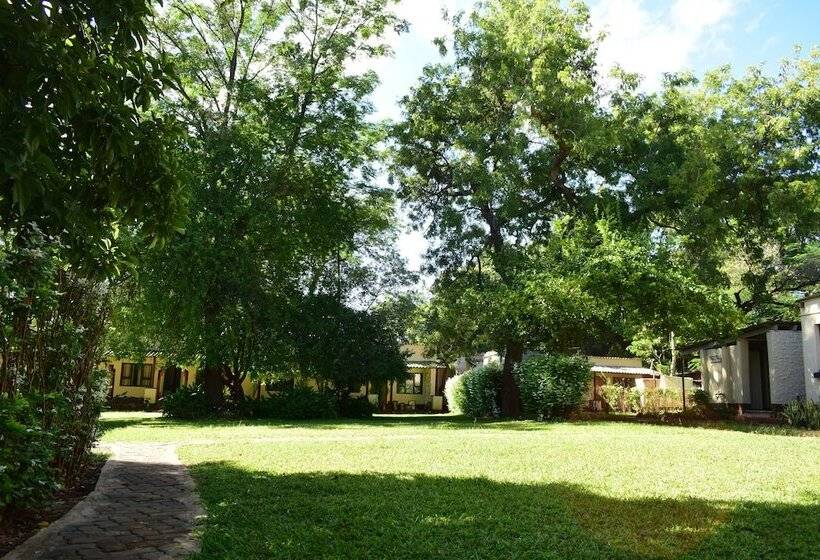 اتاق استاندارد, Shoestrings Backpackers Lodge Vic Falls