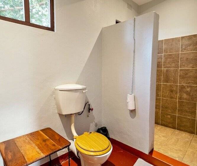 تختخواب در اتاق مشترک, Shoestrings Backpackers Lodge Vic Falls