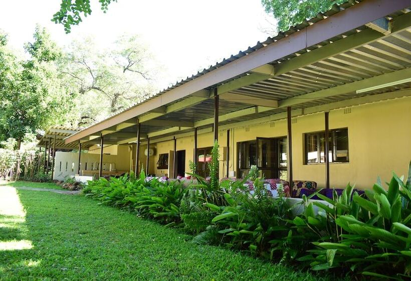 تختخواب در اتاق مشترک, Shoestrings Backpackers Lodge Vic Falls