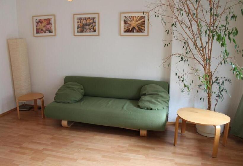اتاق استاندارد با سرویس بهداشتی مشترک, Hostel Louise 20