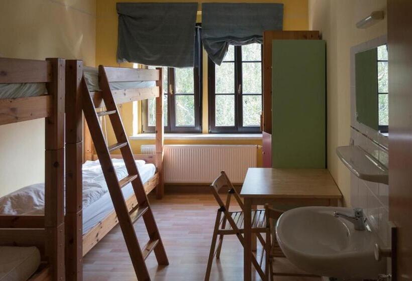 تختخواب در اتاق مشترک, Hostel Louise 20