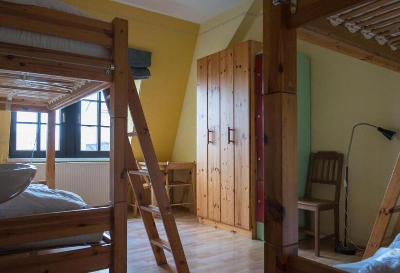 تختخواب در اتاق مشترک, Hostel Louise 20