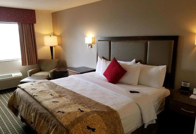 اتاق استاندارد با تخت بزرگ, Best Western Plus Eagleridge Inn & Suites
