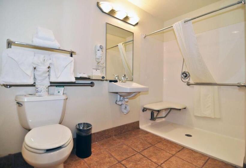 اتاق استاندارد با تخت بزرگ, Best Western Plus Eagleridge Inn & Suites