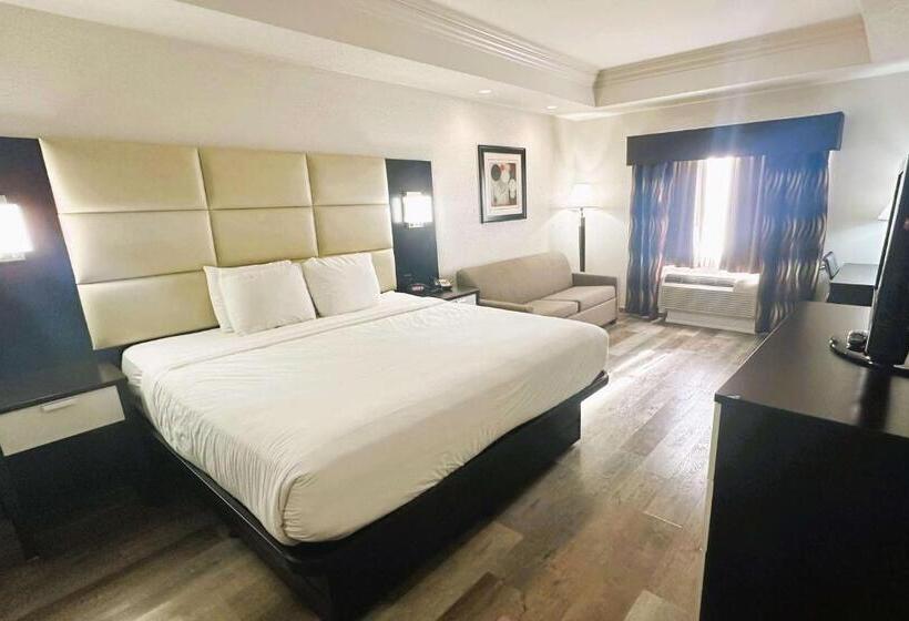 اتاق استاندارد با تخت بزرگ, Best Western Plus Jfk Inn & Suites