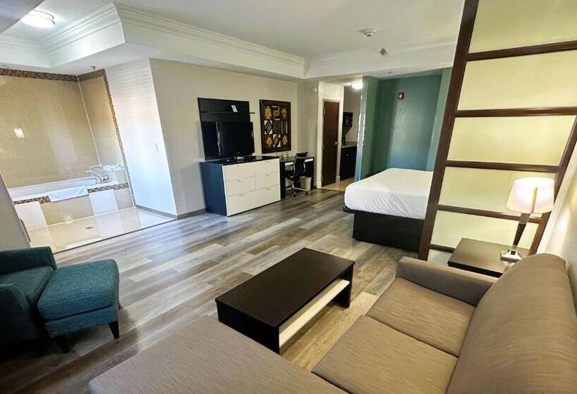 سوئیت با تخت بزرگ, Best Western Plus Jfk Inn & Suites