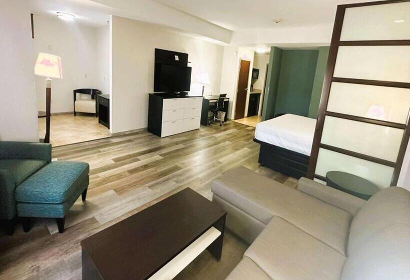 سوییت, Best Western Plus Jfk Inn & Suites