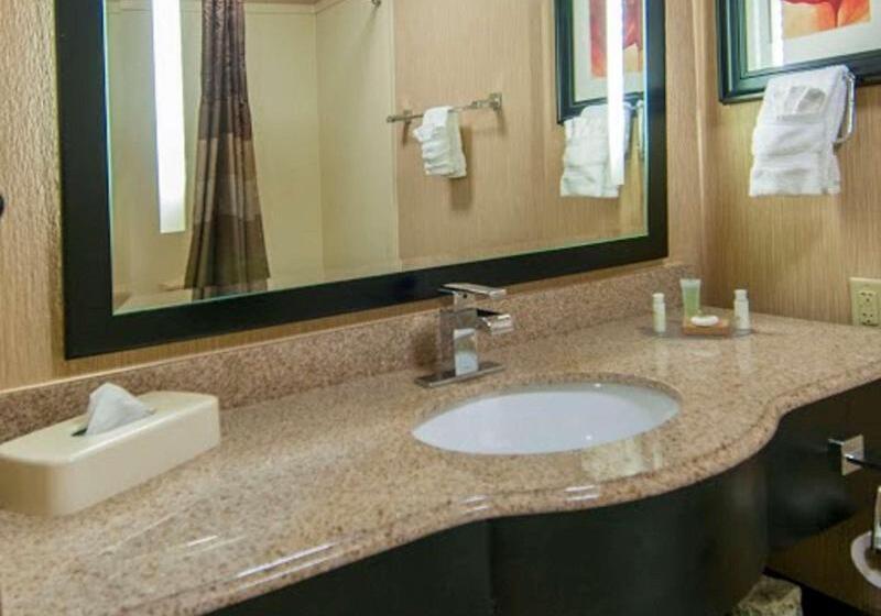 سوئیت با تخت بزرگ, Best Western Plus Jfk Inn & Suites