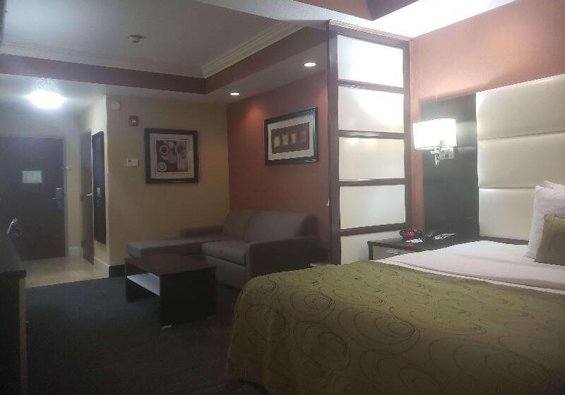سوئیت با تخت بزرگ, Best Western Plus Jfk Inn & Suites