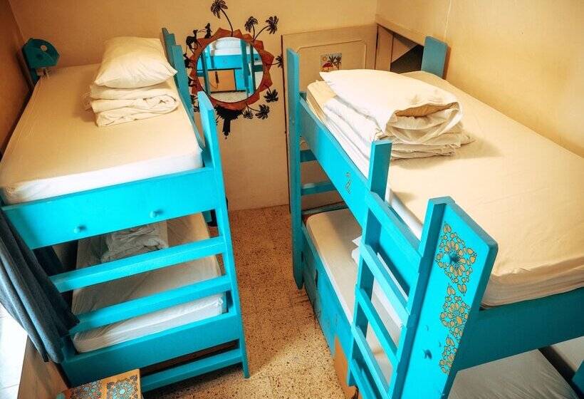 تختخواب در اتاق مشترک, Hostel Malti Budget