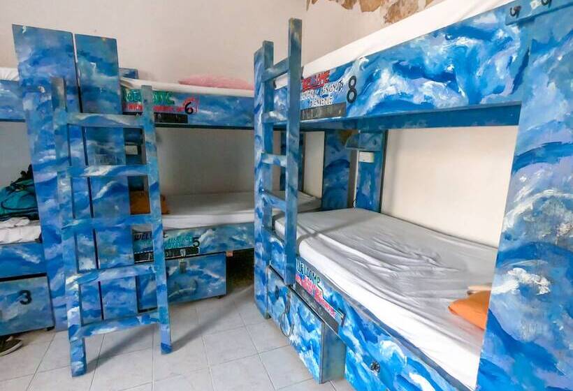 تختخواب در اتاق مشترک, Hostel Malti Budget