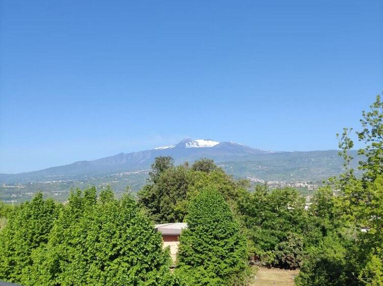 اتاق استاندارد, Oasi Park