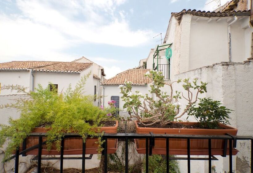 Bed in Shared Room, Oasis Backpackers  Hostel Granada