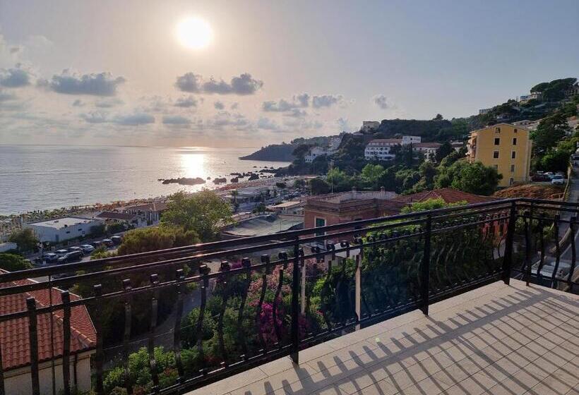 اتاق سوپریور با تخت بزرگ, 1531 Jackson B&b