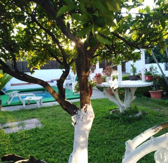 اتاق لوکس, Sweet Home