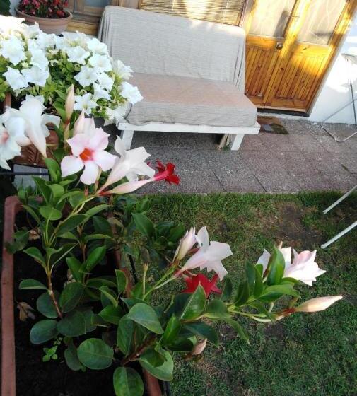 اتاق لوکس, Sweet Home