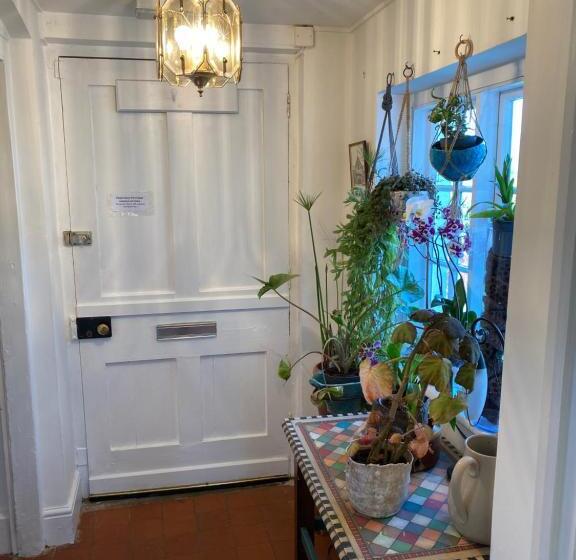 اتاق استاندارد, Art House B & B