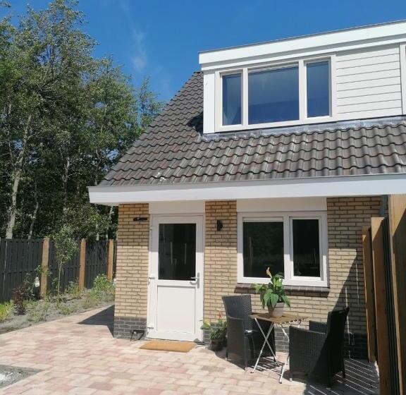 اتاق لوکس, Dock10texel