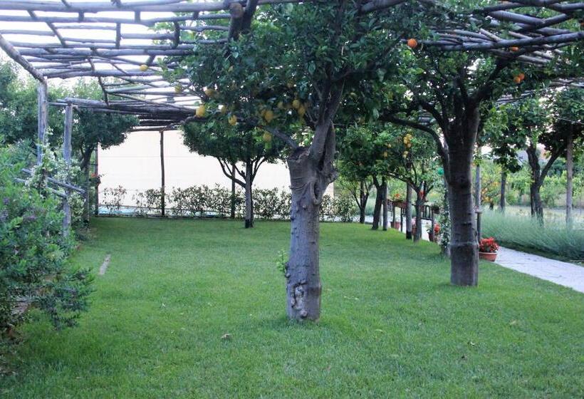 اتاق استاندارد با چشم‌انداز باغ, Terra E Cielo