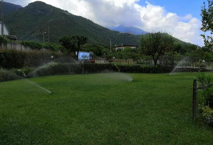 اتاق استاندارد, Terra E Cielo
