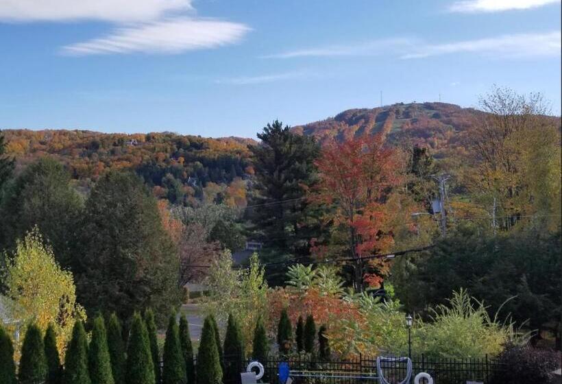 آپارتمان 1 خوابه با چشم‌انداز, Le Champlain Condo Hôtel