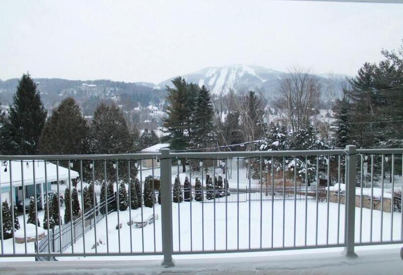 آپارتمان 1 خوابه با چشم‌انداز, Le Champlain Condo Hôtel