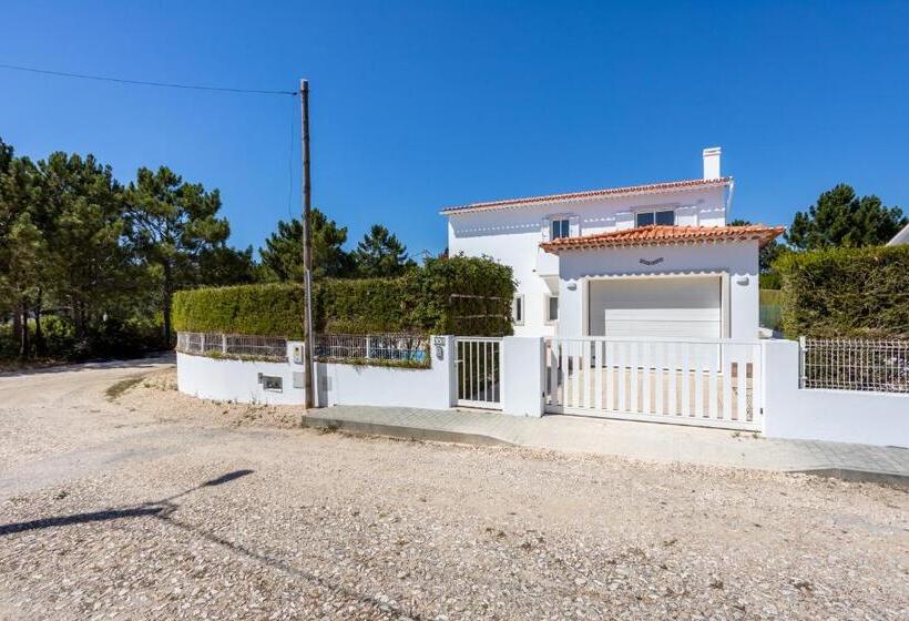 ویلای یک اتاق خوابه با استخر شنا, Villa Flavia