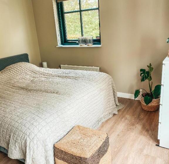 خانه 1 خوابه, Stay Inn Harlingen