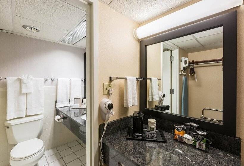 اتاق استاندارد با 2 تخت دوبل, Quality Inn And Conference Center I80 Grand Island