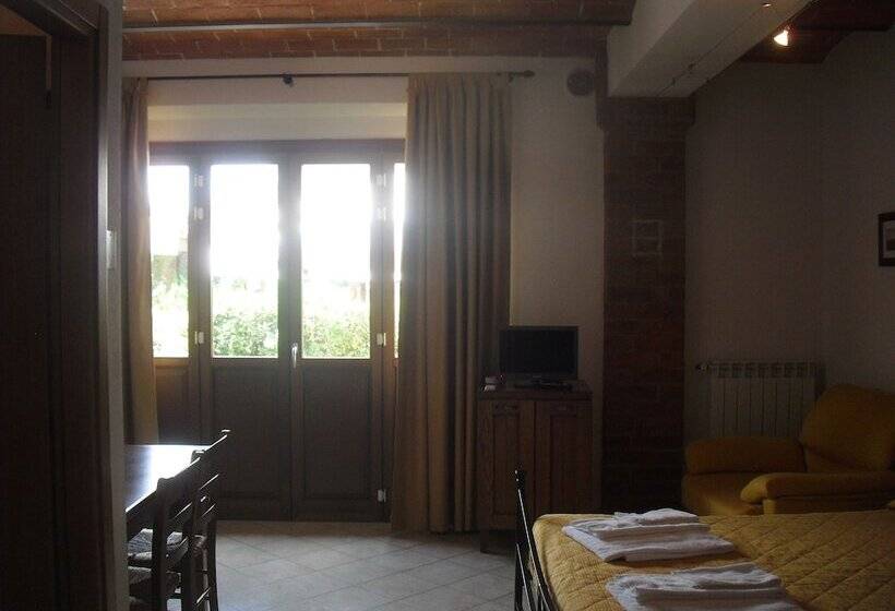 استودیوی استاندارد, Oasi Del Grillo