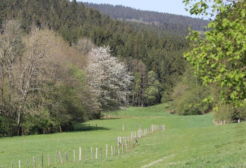 اتاق استاندارد با تخت بزرگ, Silence & Nature   Spa, Francorchamps, Coo