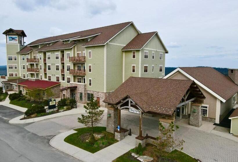 آپارتمان 3 خوابه, Remodeled Ski In Out   305 Soaring Eagle   Luxury!