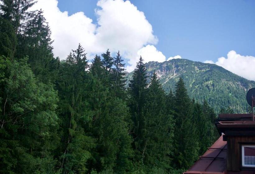 اتاق استاندارد, Mountain Hostel City