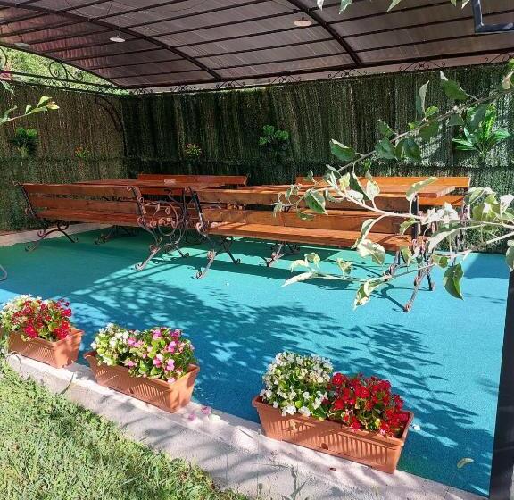 اتاق استاندارد, Home For You