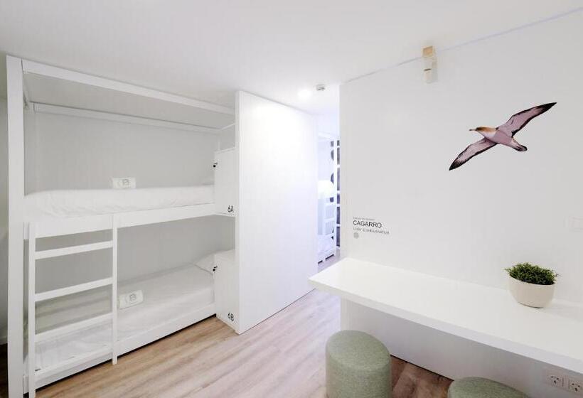 تختخواب در اتاق مشترک, Boa Nova Hostel