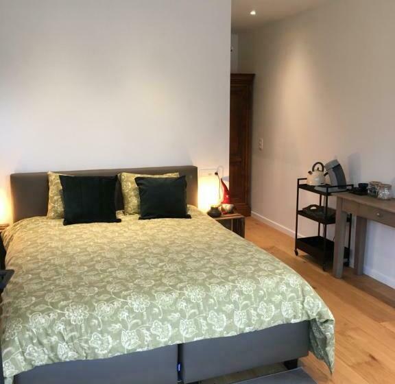 اتاق لوکس, B&b Den Biesthoek