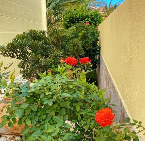 اتاق استاندارد, Villa 8 Islas
