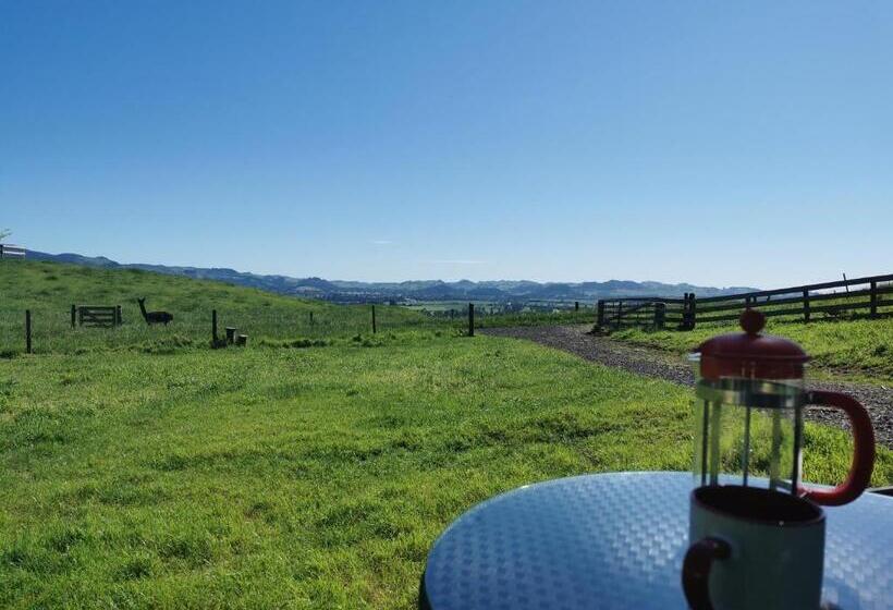 کلبه ییلاقی, Waihi Gold Alpacas 3 Or 4 People