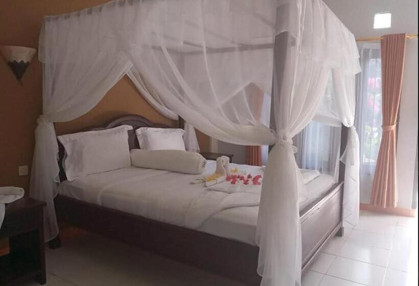 اتاق استاندارد با تخت بزرگ, Villa De Owis