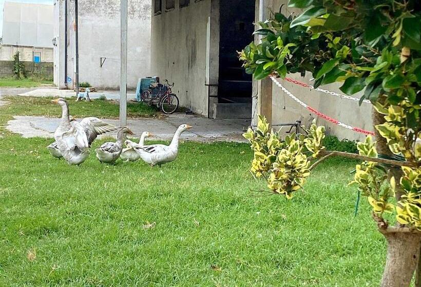 اتاق استاندارد سه نفره, Agriturismo Corte Filippi